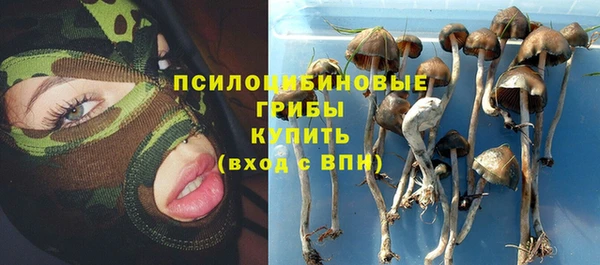 шишки Нефтегорск