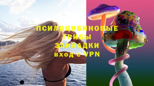 2c-b Инта