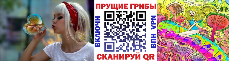 Псилоцибиновые грибы Cubensis  блэк спрут ССЫЛКА  Киренск 